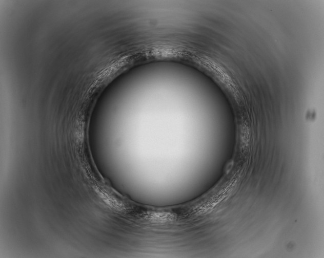 X0000101230401200806271516