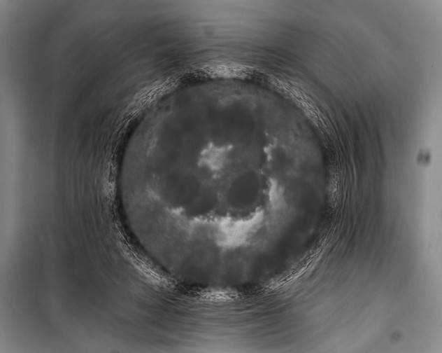 X0000101230402200806271516