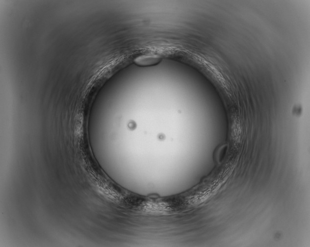 X0000101230403200806271516