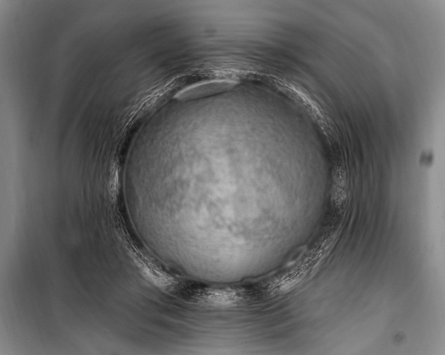 X0000101230405200806271516