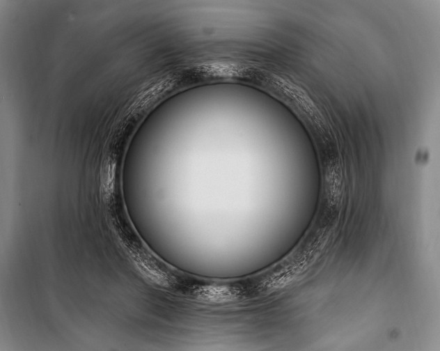 X0000101230406200806271516