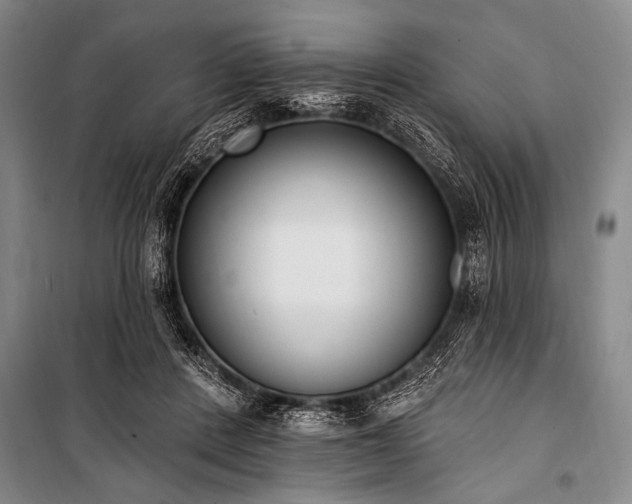 X0000101230408200806271516