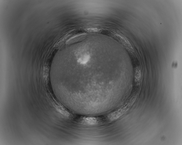 X0000101230409200806271516