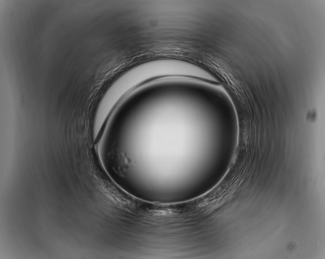 X0000101230411200806271516