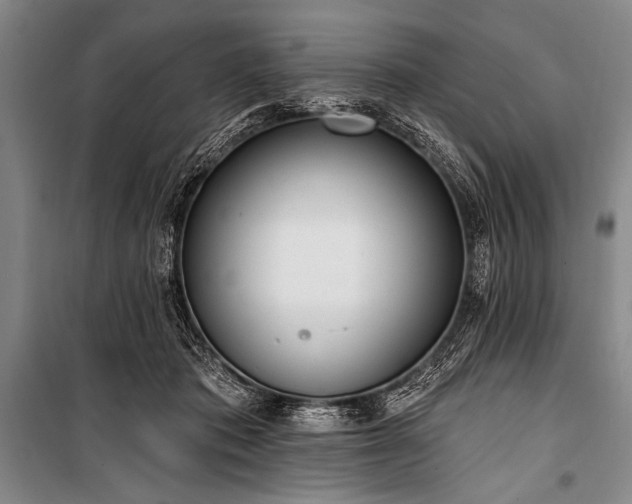 X0000101230413200806271516