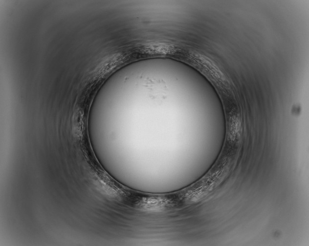 X0000101230414200806271516