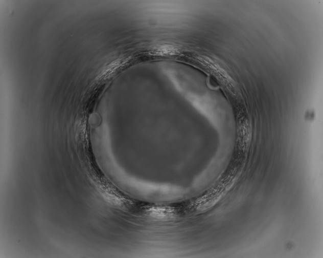 X0000101230415200806271516