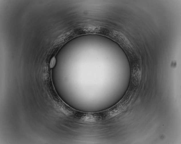 X0000101230416200806271516