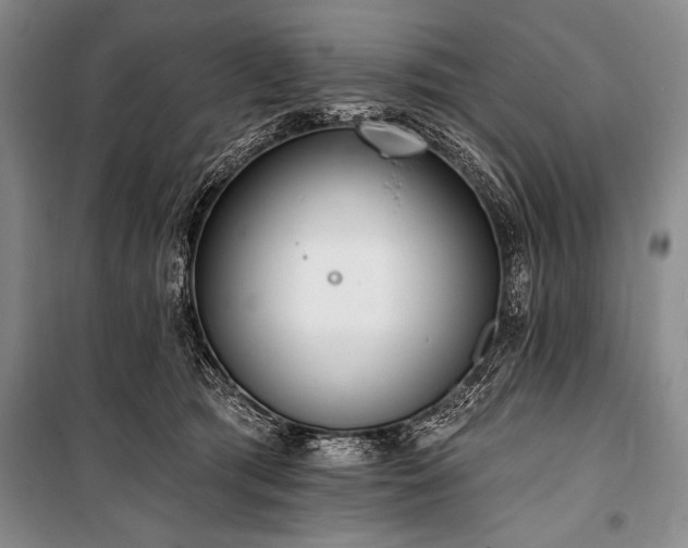 X0000101230417200806271516