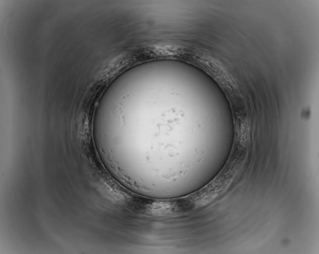 X0000101230418200806271516