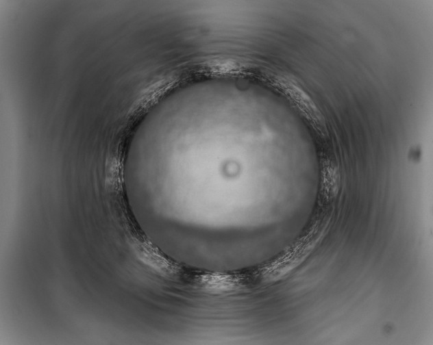 X0000101230419200806271516