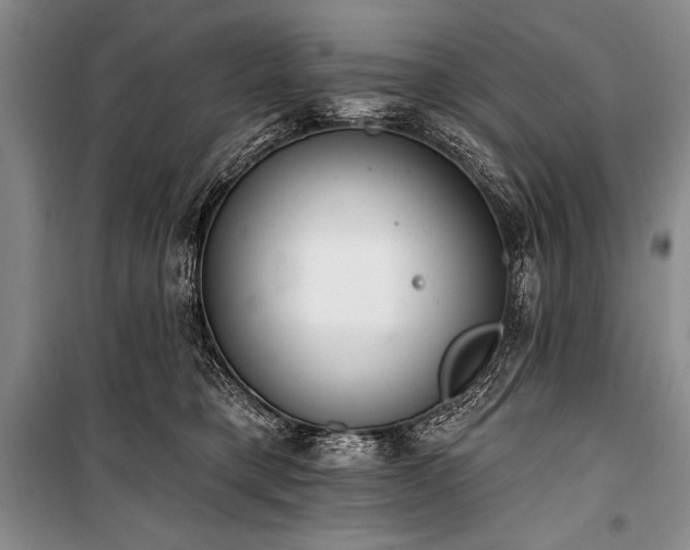 X0000101230421200806271516