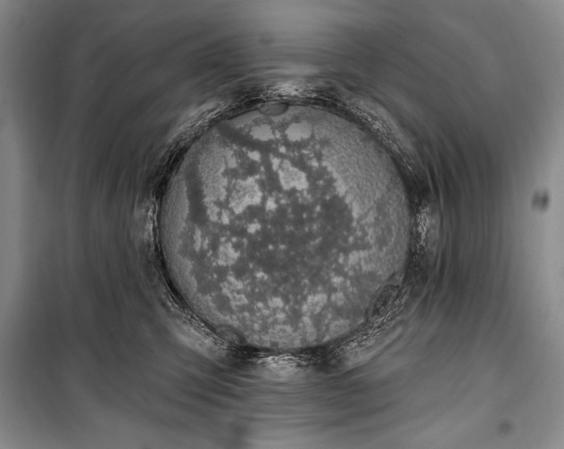 X0000101230423200806271516