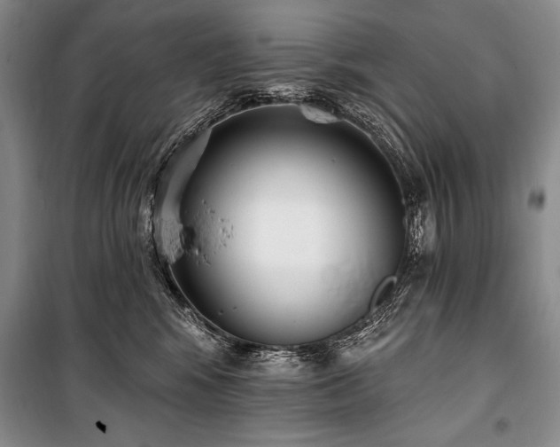 X0000101230424200806271516