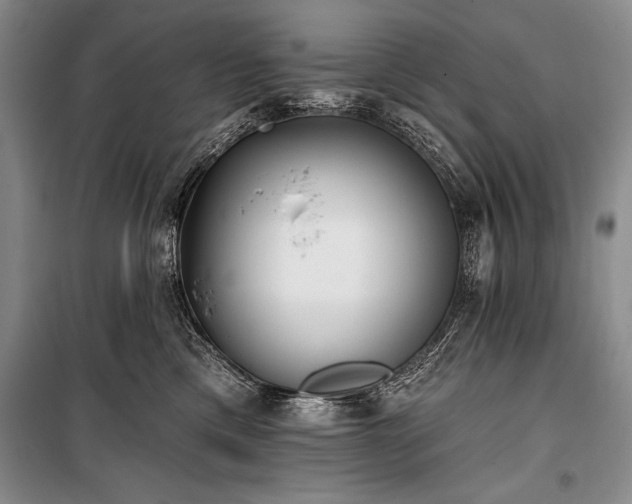 X0000101230425200806271516