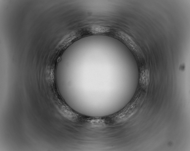 X0000101230426200806271516