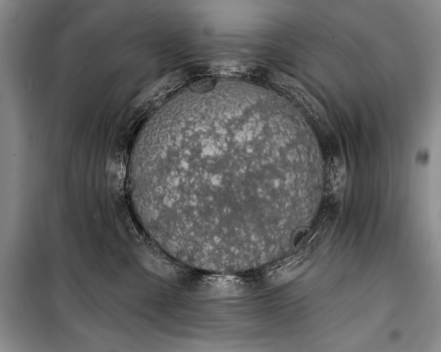 X0000101230427200806271516