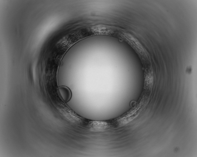X0000101230429200806271515