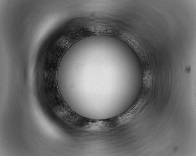X0000101230430200806271515