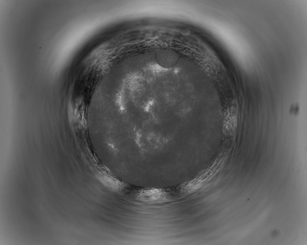 X0000101230431200806271515