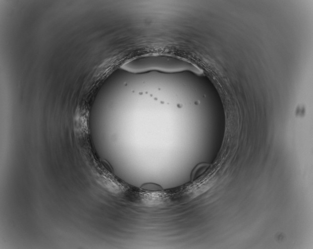 X0000101230432200806271515