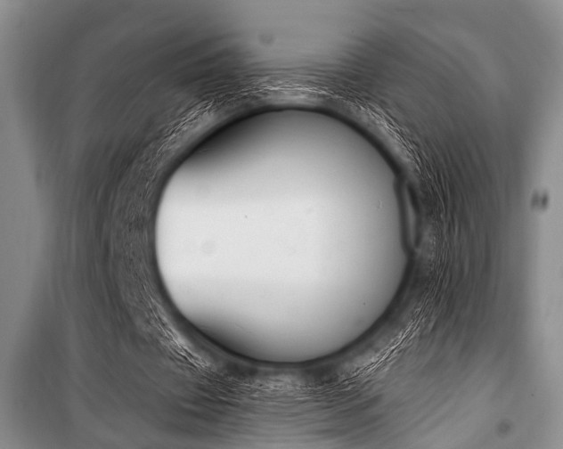 X0000101230433200806271515