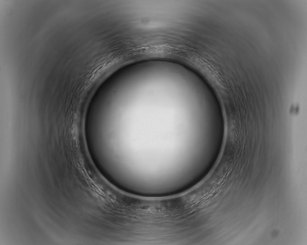 X0000101230434200806271515