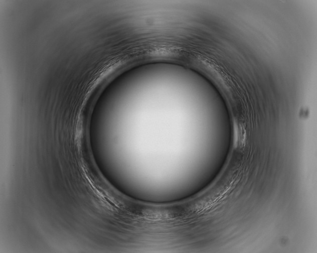 X0000101230435200806271515