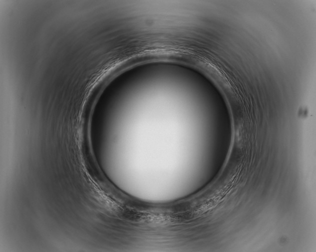 X0000101230436200806271515