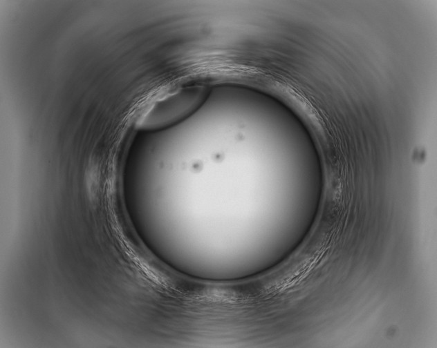X0000101230437200806271515
