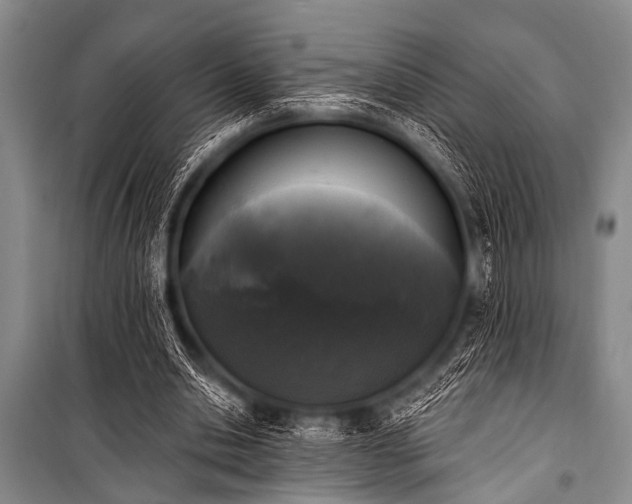 X0000101230438200806271515