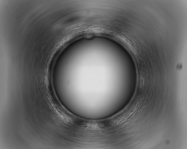 X0000101230439200806271515