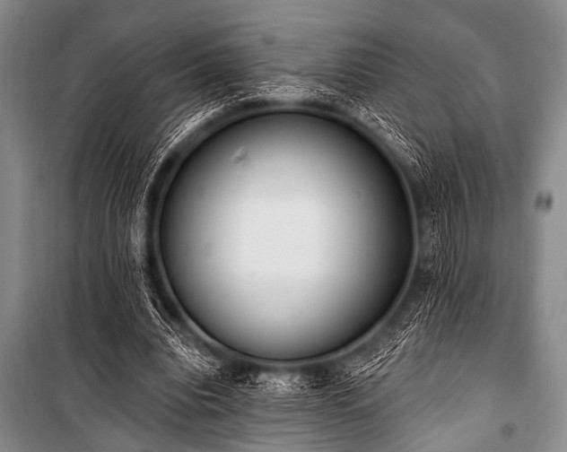 X0000101230440200806271515