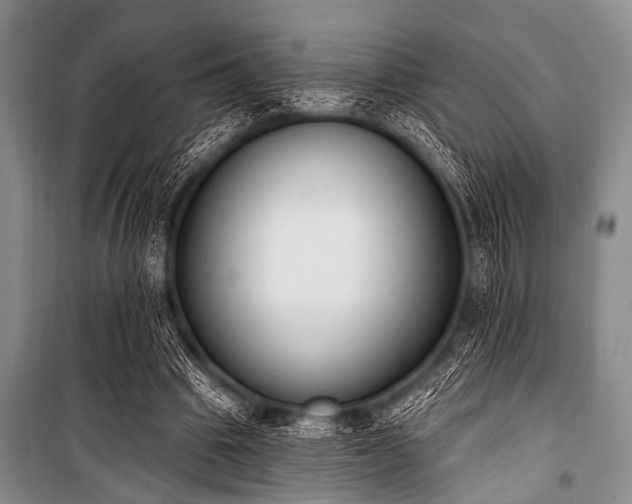 X0000101230441200806271515