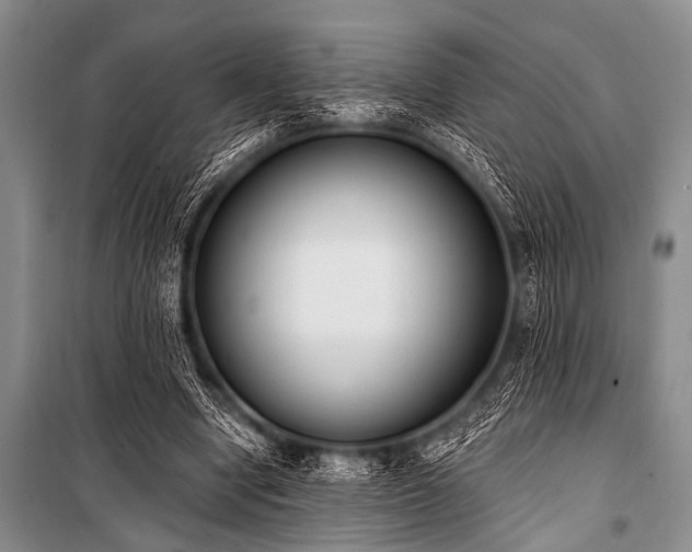 X0000101230442200806271515