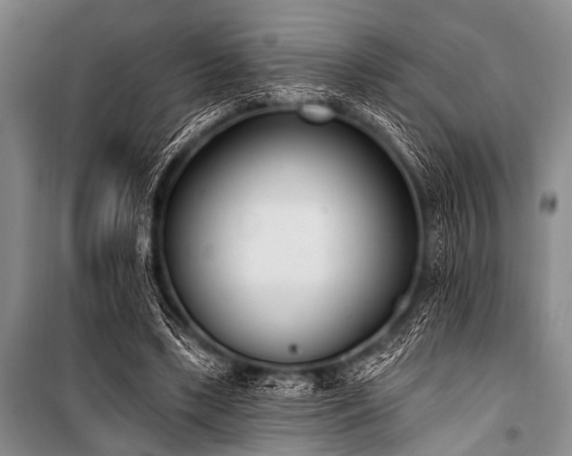 X0000101230443200806271515