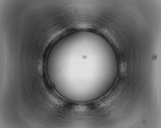 X0000101230444200806271515