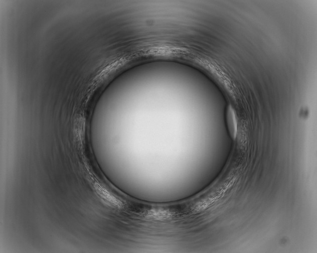 X0000101230445200806271515