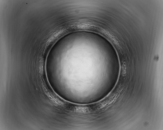 X0000101230446200806271515