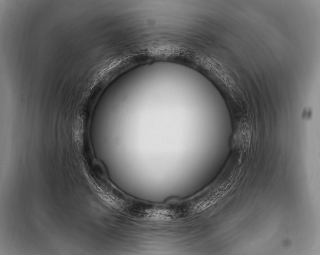 X0000101230448200806271515
