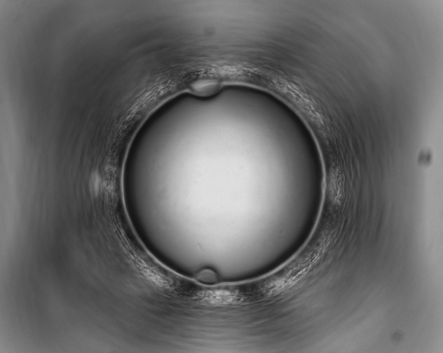 X0000101230449200806271515