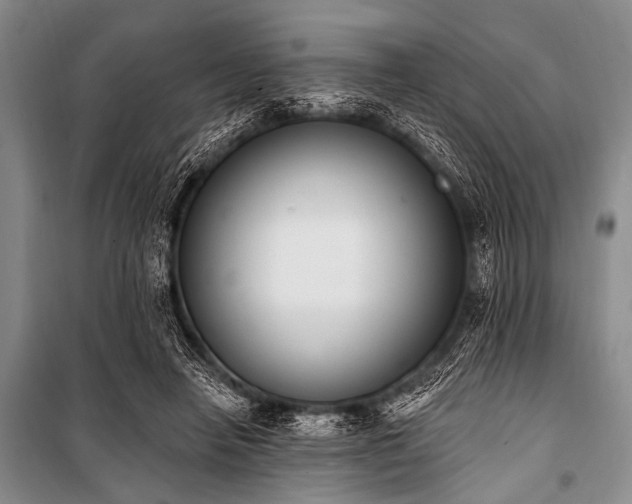 X0000101230450200806271515