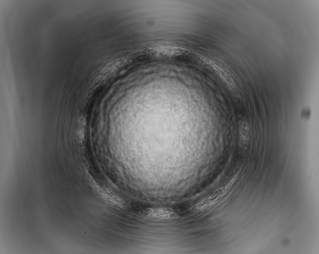 X0000101230451200806271515