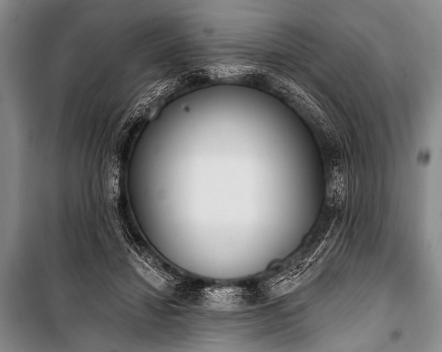 X0000101230452200806271515