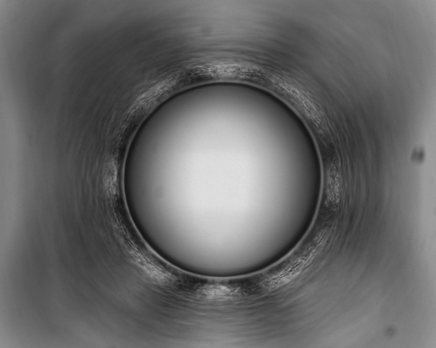 X0000101230453200806271515