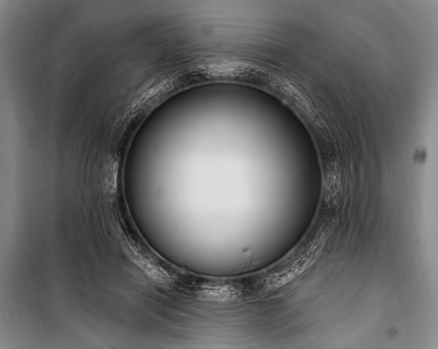 X0000101230454200806271515