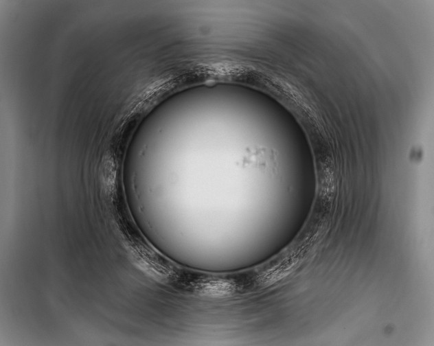 X0000101230456200806271515