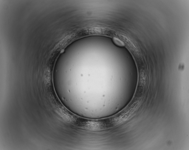 X0000101230457200806271515