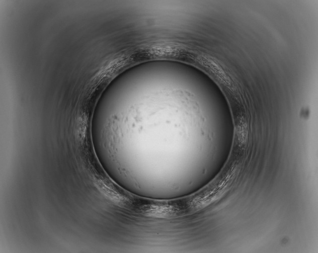 X0000101230458200806271515