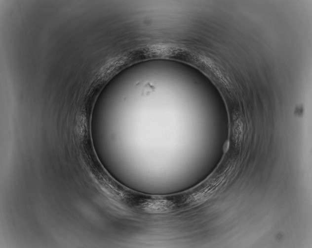 X0000101230459200806271515